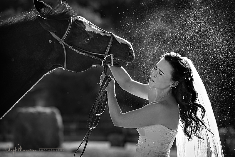 Bride and her horse-Bellevue Wedding